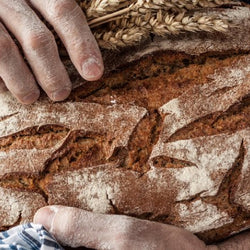 Artisan Ciabatta